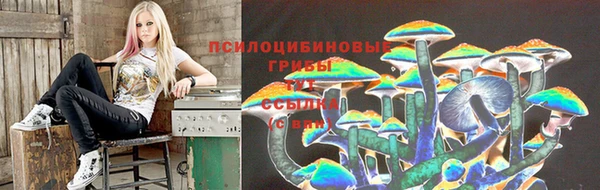прущая мука Волоколамск