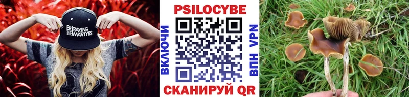 Галлюциногенные грибы Cubensis  купить наркотик  Елец 